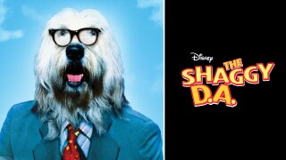 The Shaggy D.A.