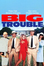 Big Trouble