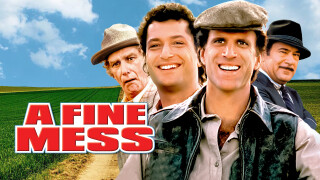 A Fine Mess