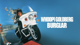 Burglar