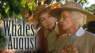 The Whales of August
