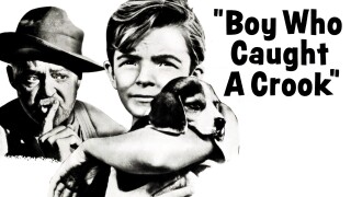 Boy Who Caught a Crook