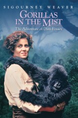 Gorillas in the Mist