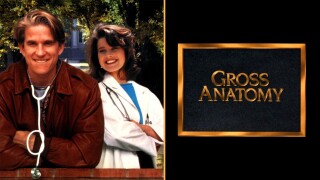 Gross Anatomy