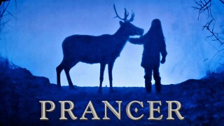 Prancer