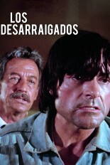 Los desarraigados