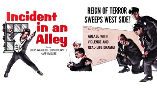 Incident in an Alley