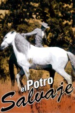 El potro salvaje