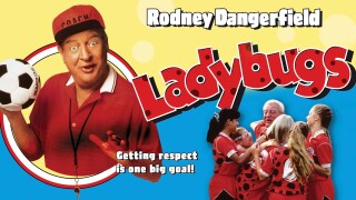 Ladybugs