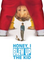 Honey, I Blew Up the Kid