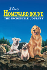 Homeward Bound: The Incredible Journey
