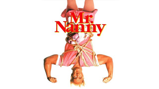 Mr. Nanny