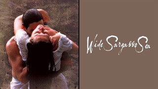 Wide Sargasso Sea