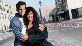 Mr. Wonderful