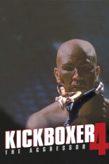 Kickboxer 4: The Aggressor