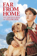 Far From Home: The Adventures of Yellow Dog