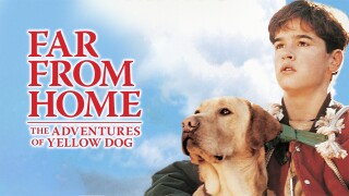 Far From Home: The Adventures of Yellow Dog