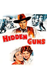 Hidden Guns