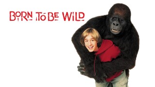 Born to Be Wild