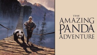 The Amazing Panda Adventure