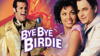 Bye Bye Birdie