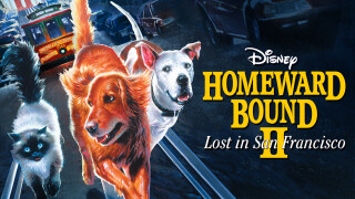 Homeward Bound II: Lost in San Francisco