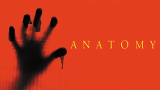 Anatomy