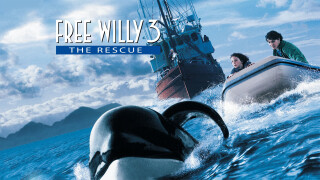 Free Willy 3: The Rescue