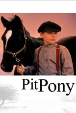 Pit Pony