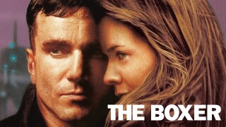 The Boxer