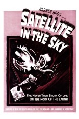 Satellite in the Sky