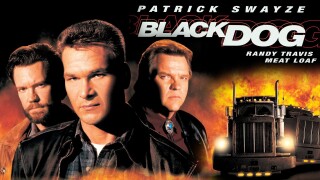 Black Dog