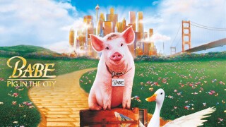 Babe: Pig in the City