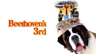 Beethoven's 3rd