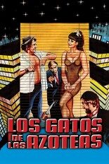 Los gatos de las azoteas