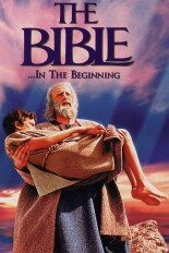 The Bible... In the Beginning