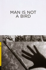 Man Is Not a Bird