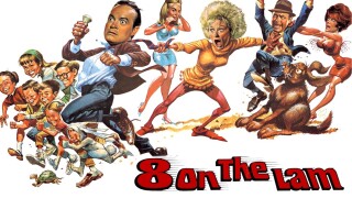 Eight on the Lam