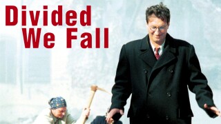 Divided We Fall