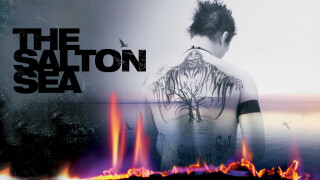 The Salton Sea