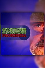Guardianes de la dimensión prohibida