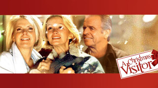 A Christmas Visitor