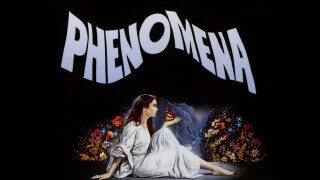 Phenomena
