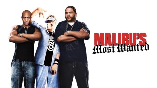 Malibu's Most Wanted