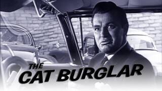 The Cat Burglar