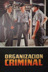 Organización criminal