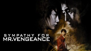 Sympathy for Mr. Vengeance