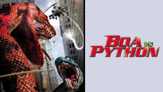 Boa vs. Python