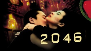2046