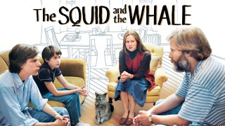 The Squid and the Whale